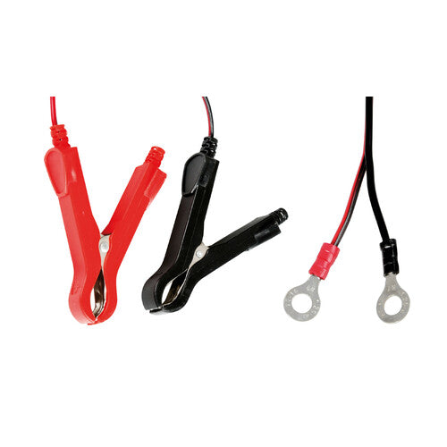 Lampa Amperomatic Lithium-Plus, caricabatteria intelligente, 12V - 3,8A