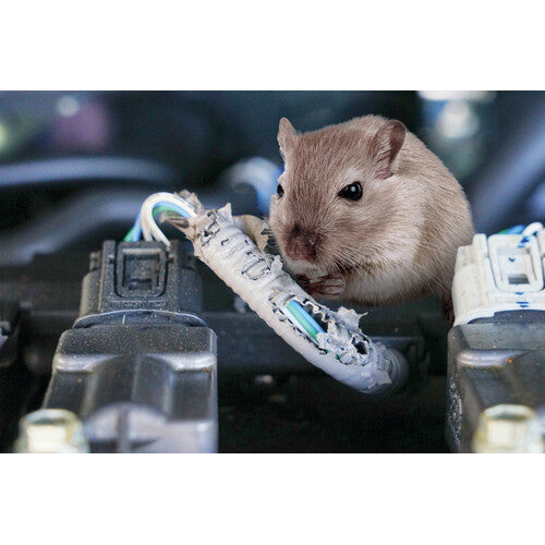 Ultraschall-Nagetierabwehrlampe - 12 V