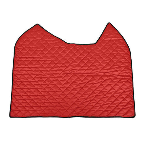 Skeentex central mat Red Actros MP4 09/11>09/19 cab. wide sed pass. fold