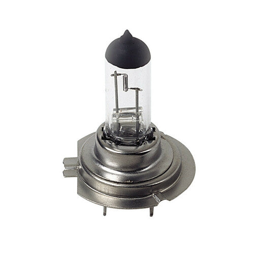 Lampa 24V Lampada alogena Pro - H7 - 70W - PX26d - 1 pz - Scatola 97504