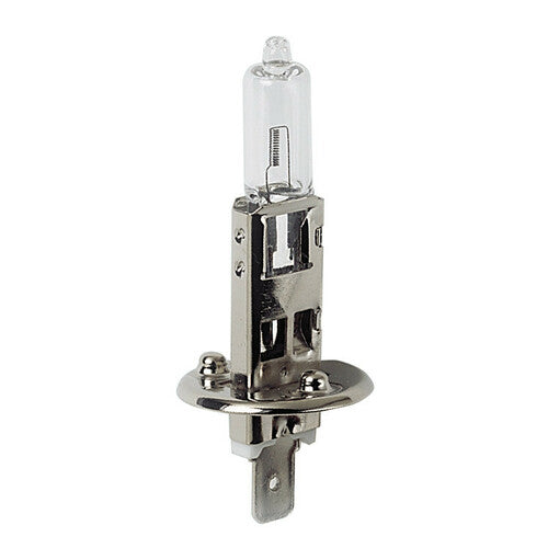 24V Halogenlampe - H1 - 70W - P14.5s - 1 Stück - Karton 98204