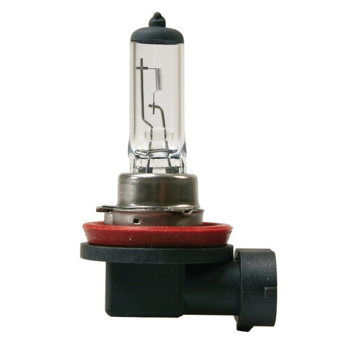 Lampa 24V Lampada alogena - H11 - 70W - PGJ19-2 - 1 pz - D/Blister 98205