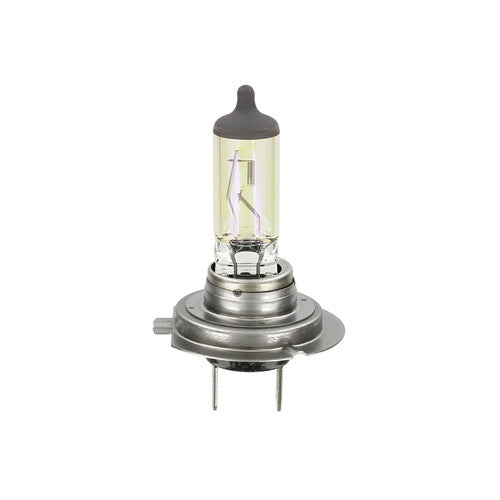 Osram 12V Ganzjahreslampe – H7 – 55W – PX26d – 1 Stück – Verpackung