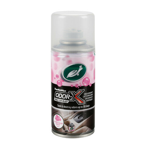 Turtle Wax Odor-X, elimina olores - 100 ml - Chicle