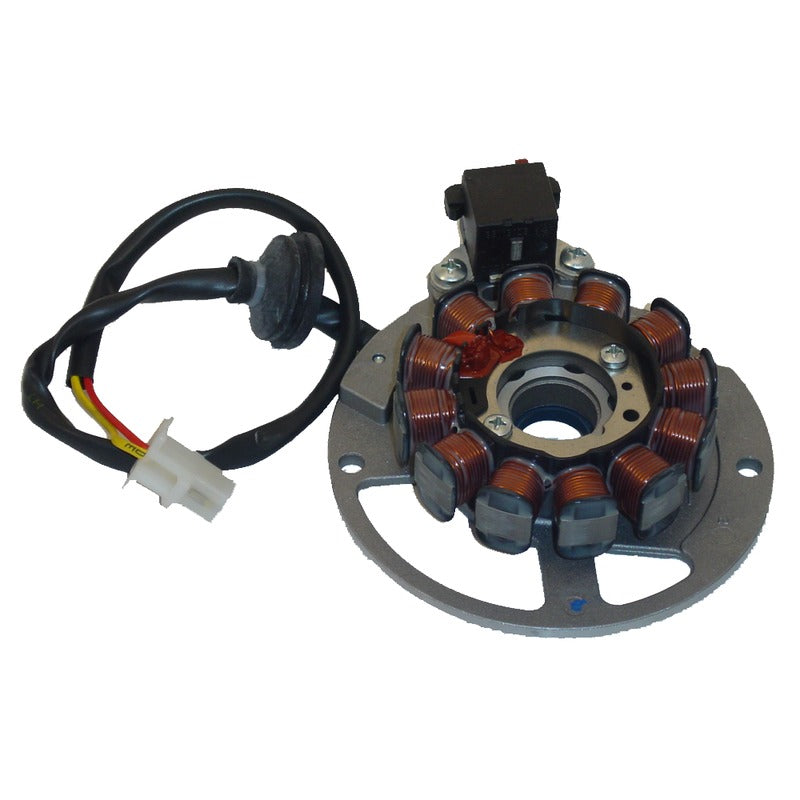 Ducati Energia Statore Malaguti F12-F15-F10Euro2/2,3 02-04 Ciak 03-04