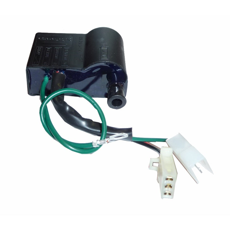 Ducati Energia CDI Spule für Malaguti F10-F12-F15, Beta Chrono-Quadra-Tempo