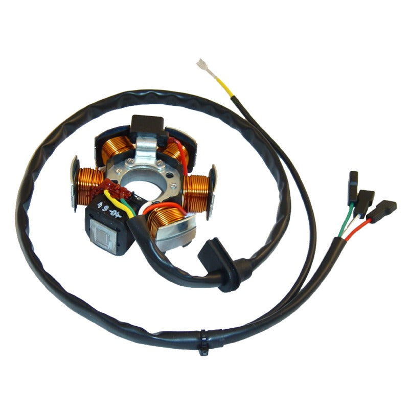 Ducati Energia Stator Aprilia Af1 50, Rx 50, Tuareg 50 89-91