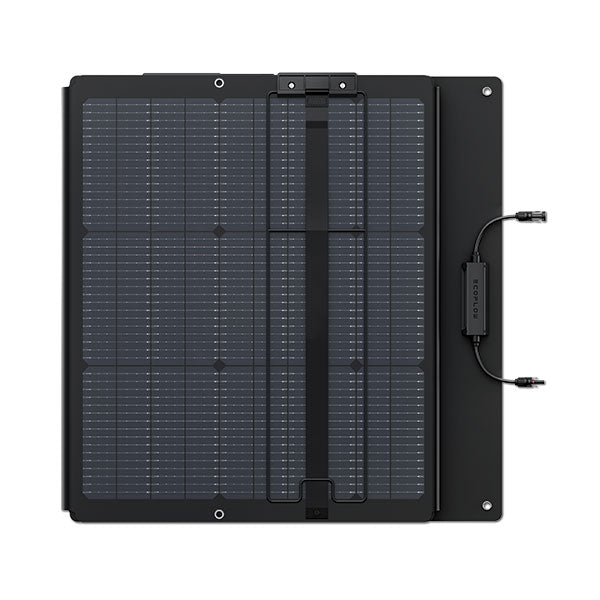 EcoFlow Pannello Fotovoltaico 220 W