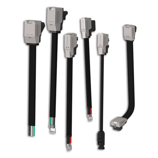 EcoFlow Independence Kit