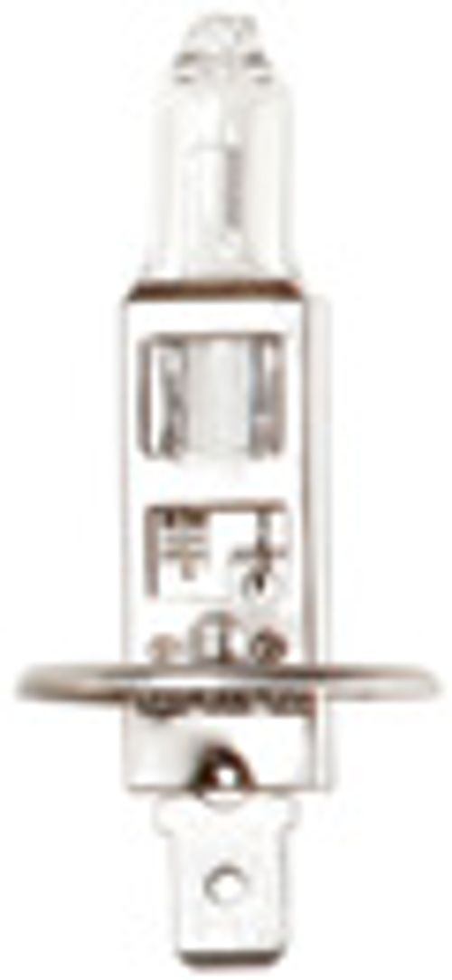Bombilla halógena de anillo 12 V 55 W H1