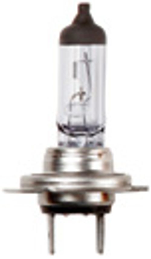 Ringförmige Halogenlampe 12V 55W H7