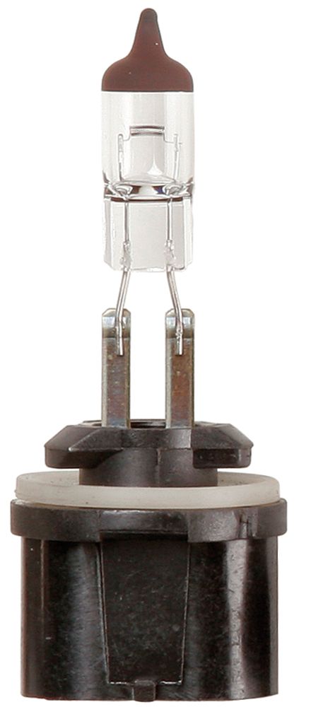 Ring Lampadina 12V 27W H27W/1