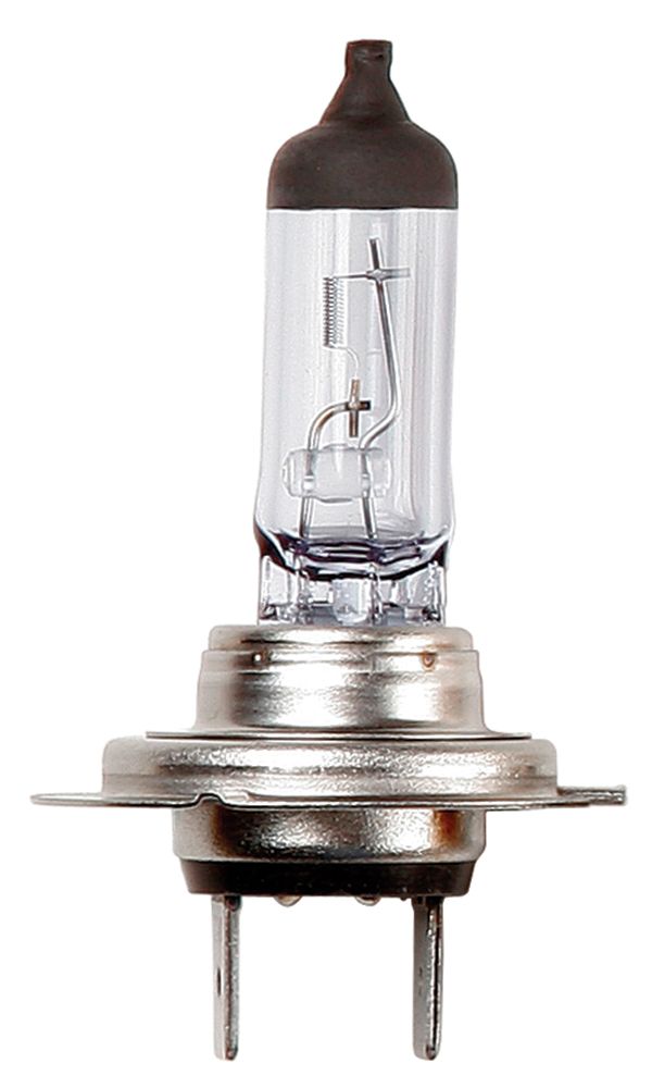 Bombilla de anillo 24V 70W H7