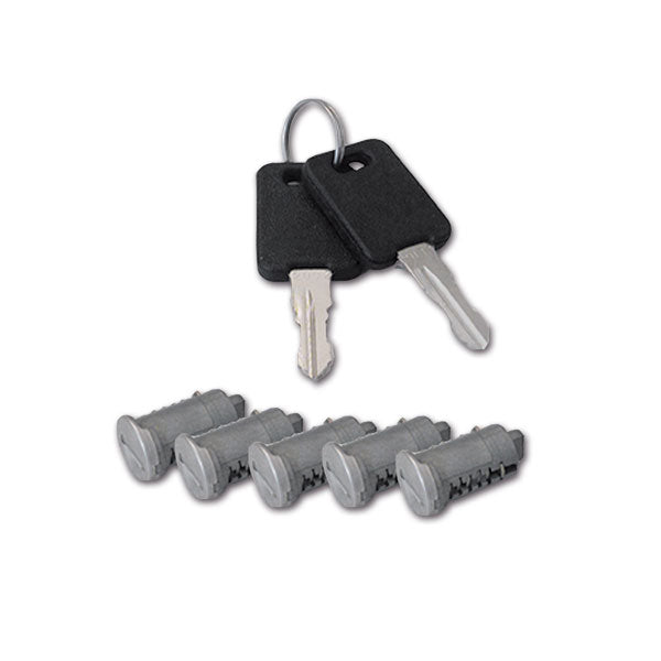 Kit 5 cylinders 2 standard keys FAP SRT1038E