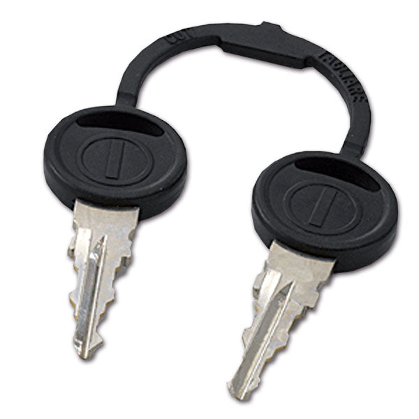 Zadi Pair of keys for Zadi locks