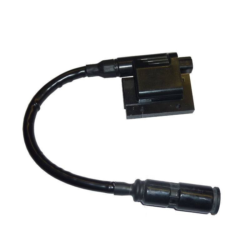 Okyami High voltage coil Dink 200I 06- V732100133