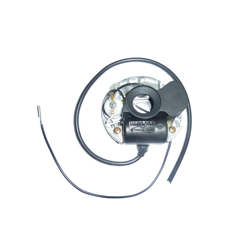 Okyami Stator Garelli/Guzzi/Benelli 50Cc (Kick Starter) V733100138