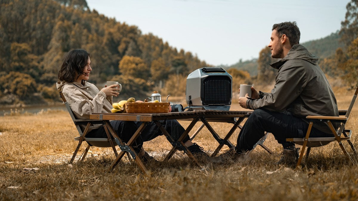 EcoFlow WAVE 2 Condizionatore Aria portatile 1500 W / 5100 BTU Van Camper e Campeggio (Copia)