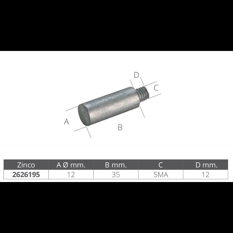 Enrico Polipodio Barotto Bukh Durchmesser mm 12 x 37 02050