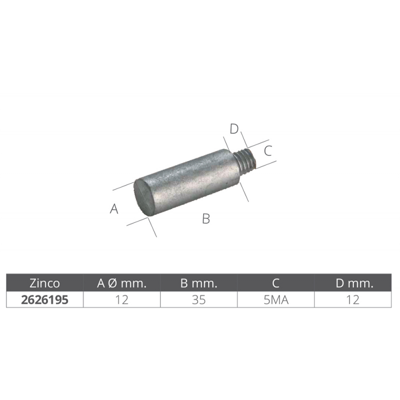 Enrico Polipodio Barotto Bukh Diámetro mm 12 X 37 02050