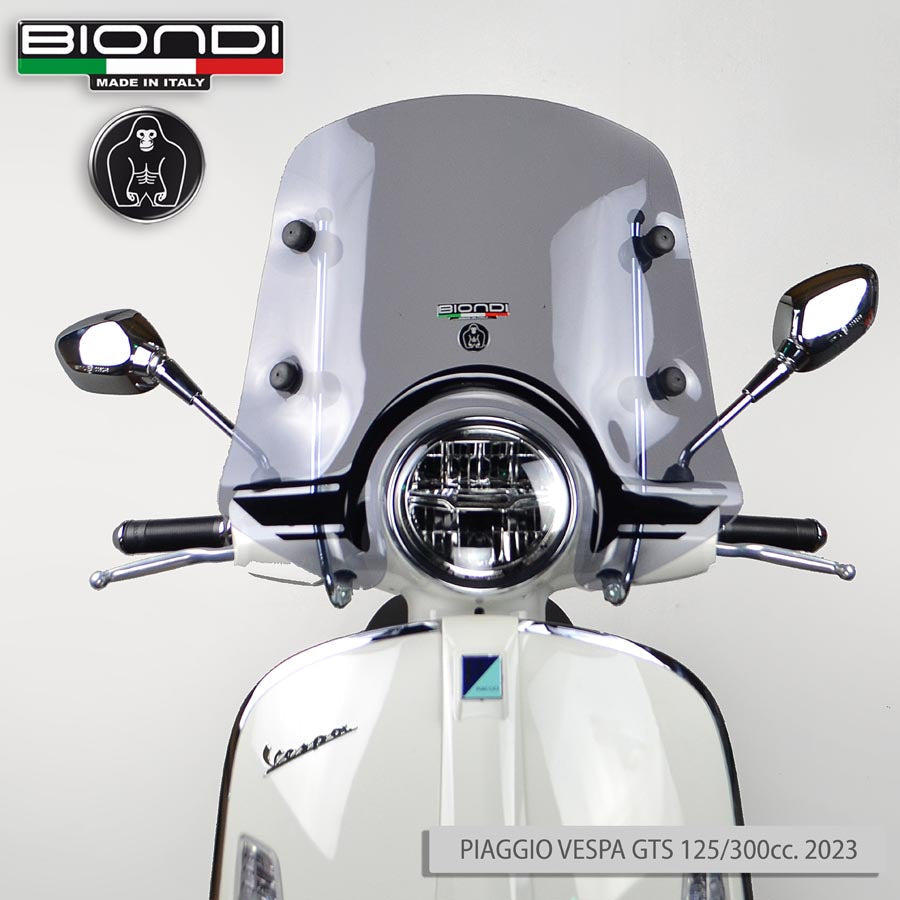 Biondi Cupolino Little Club con Attacchi VT Motor Trunk 50/125/152 cc 2011