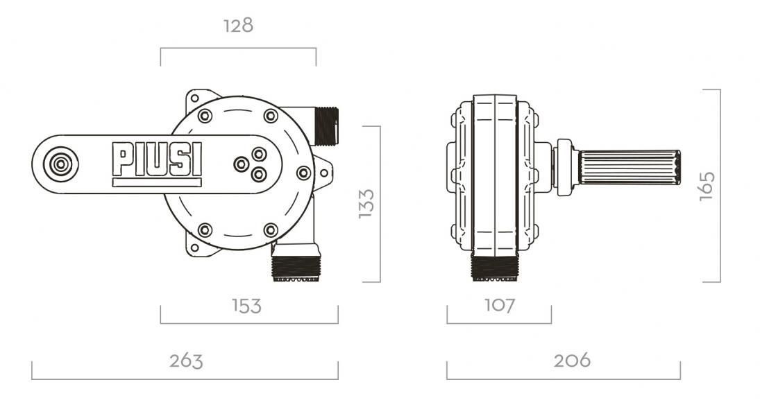 Piusi Handpumpe, manueller AdBlue-Zapfer für Fässer