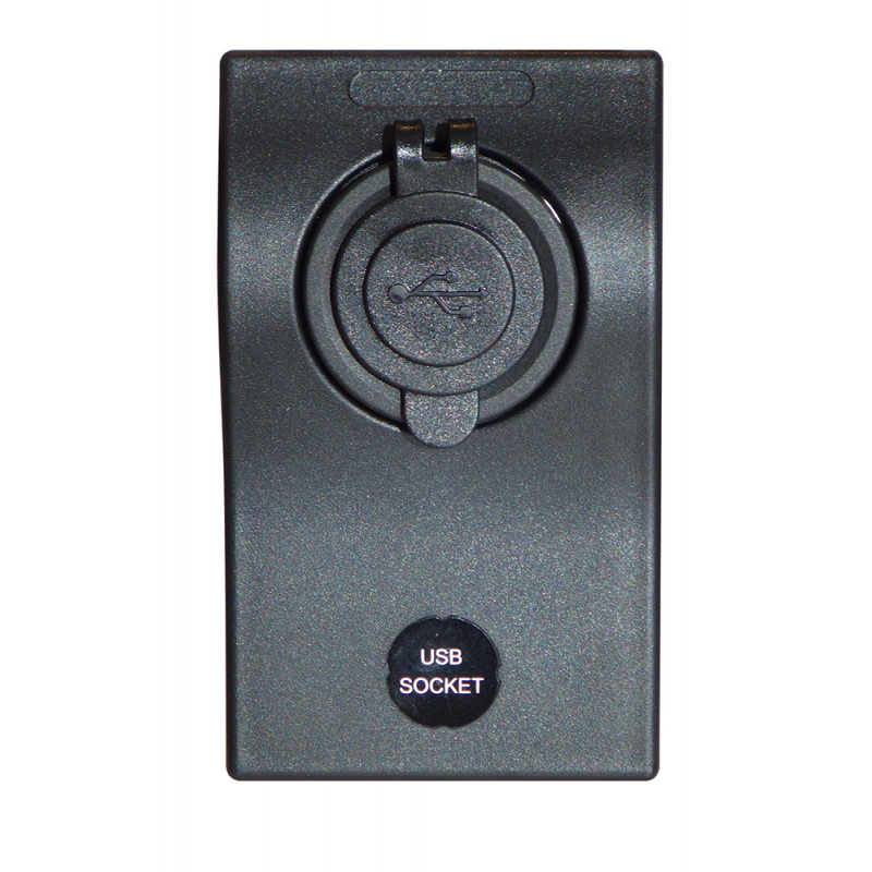 A.A.A. Presa Usb AP-DCS2