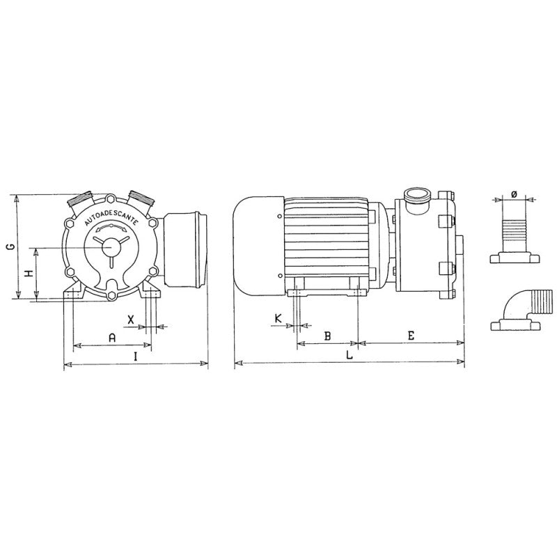 Liverani Pompa Ep 20 Cc 12 Volt 51402000