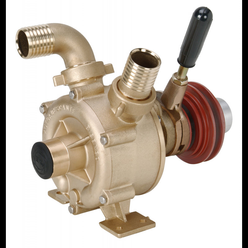 Liverani Nautic 40 F Pumpe 51144000