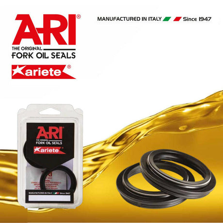 Kit ARI paraoli e parapolvere per moto Ariete