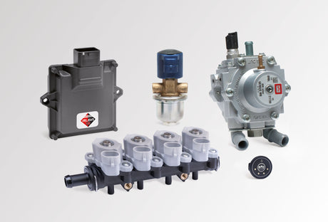 Accessori per Auto a GPL BRC