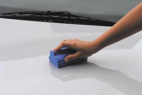 Cora Spugna multiuso in PVA