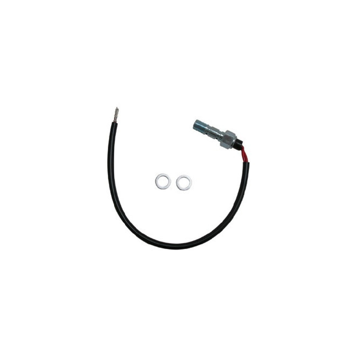 Hydrostop für europäische Motorradbremspumpen M10x1,0 2-Loch AP RACING PUMPS CP4125