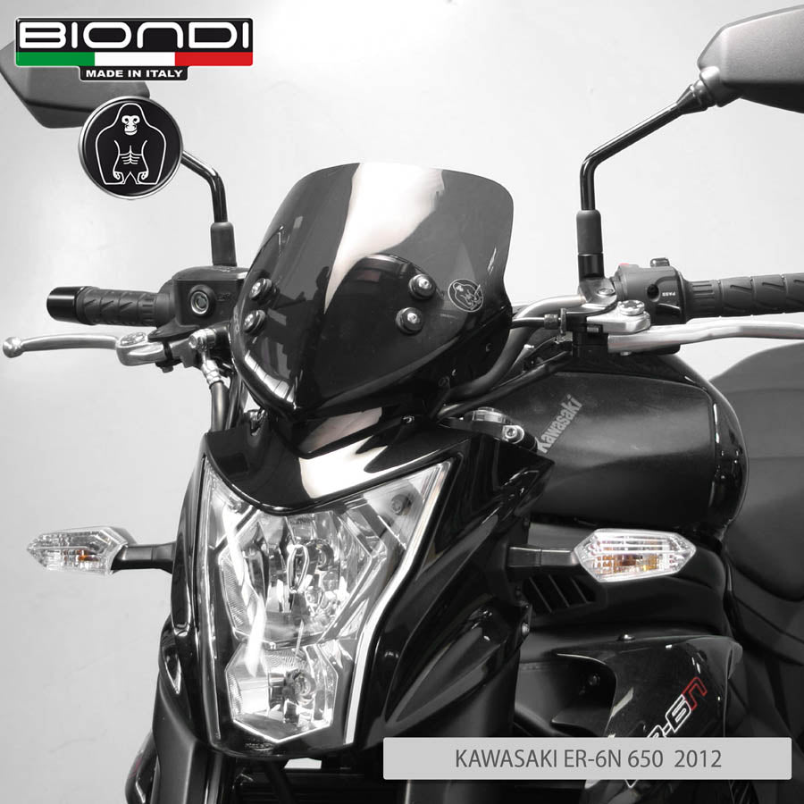 Biondi Cupolino Gust Fumé Scuro Kawasaki ER-6n 650 2012