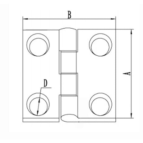 Trem Cerniera inox 50x50 mm