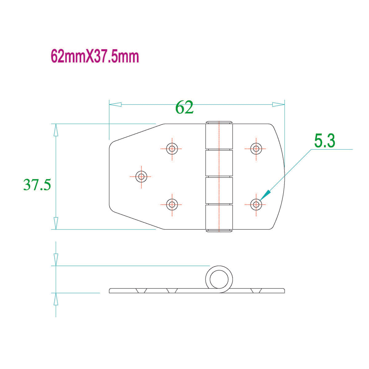 Trem Cerniera inox 62x38 mm