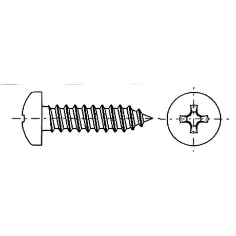 Trem Stainless Steel Self-Tapping Screw with Cross Head