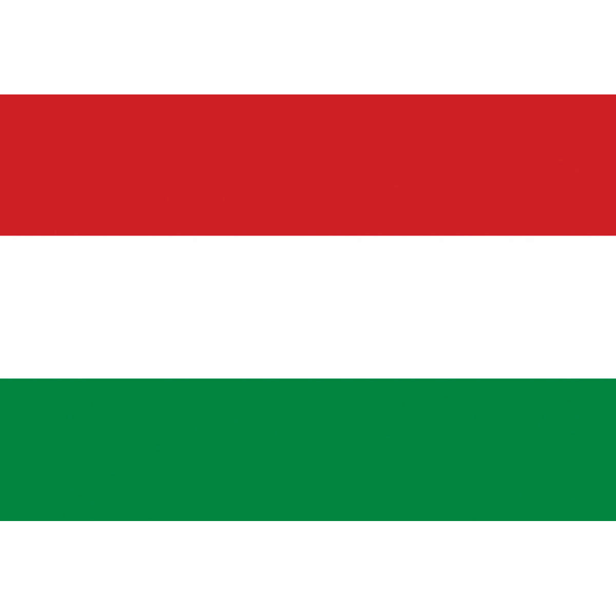 Trem Bandiera poliestere Ungheria