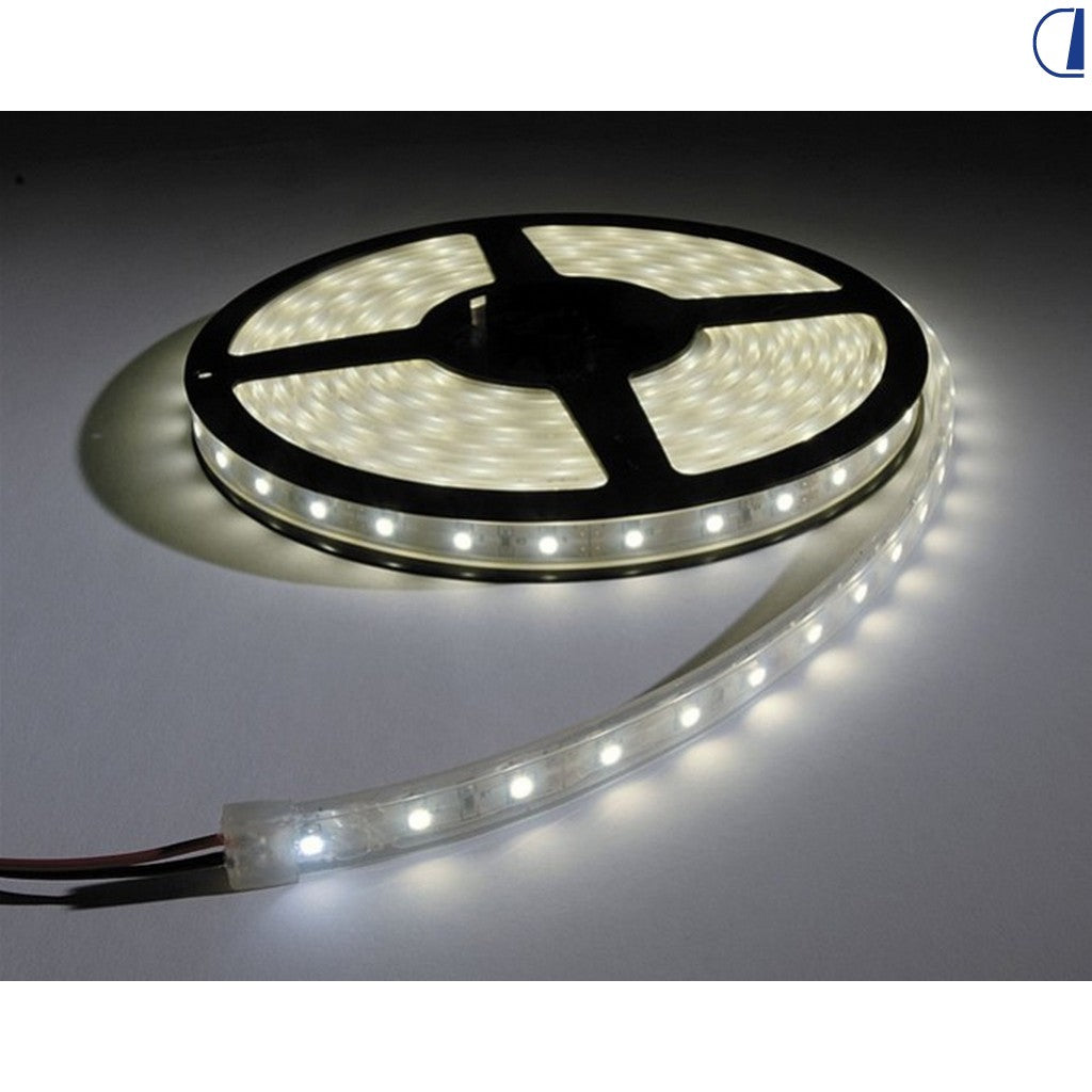 Striscia LED SMD3528 1,6 W/m – 20 LED/m