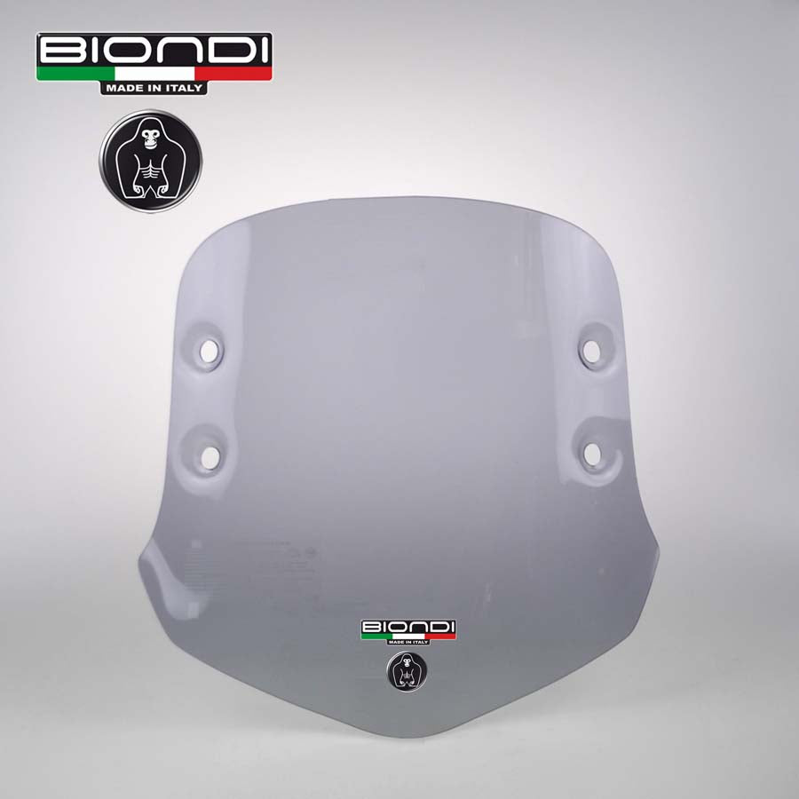 Biondi Cupolino Little Club + Attacchi NIU MQi GT 2021