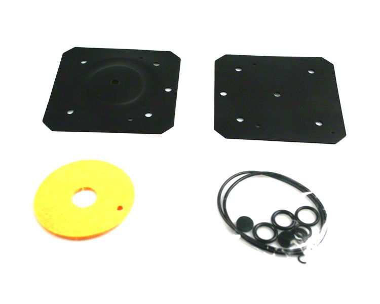 Reducer repair kit for Landi Renzo IG1