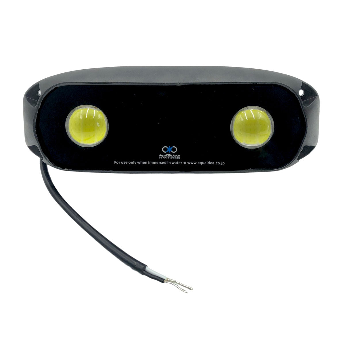 Aqualine Luce subacquea ovale a 2 LED luce RGB