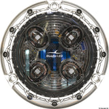 Bluefin LED PIRANHA P4 LED dual color bianco e blu polymer