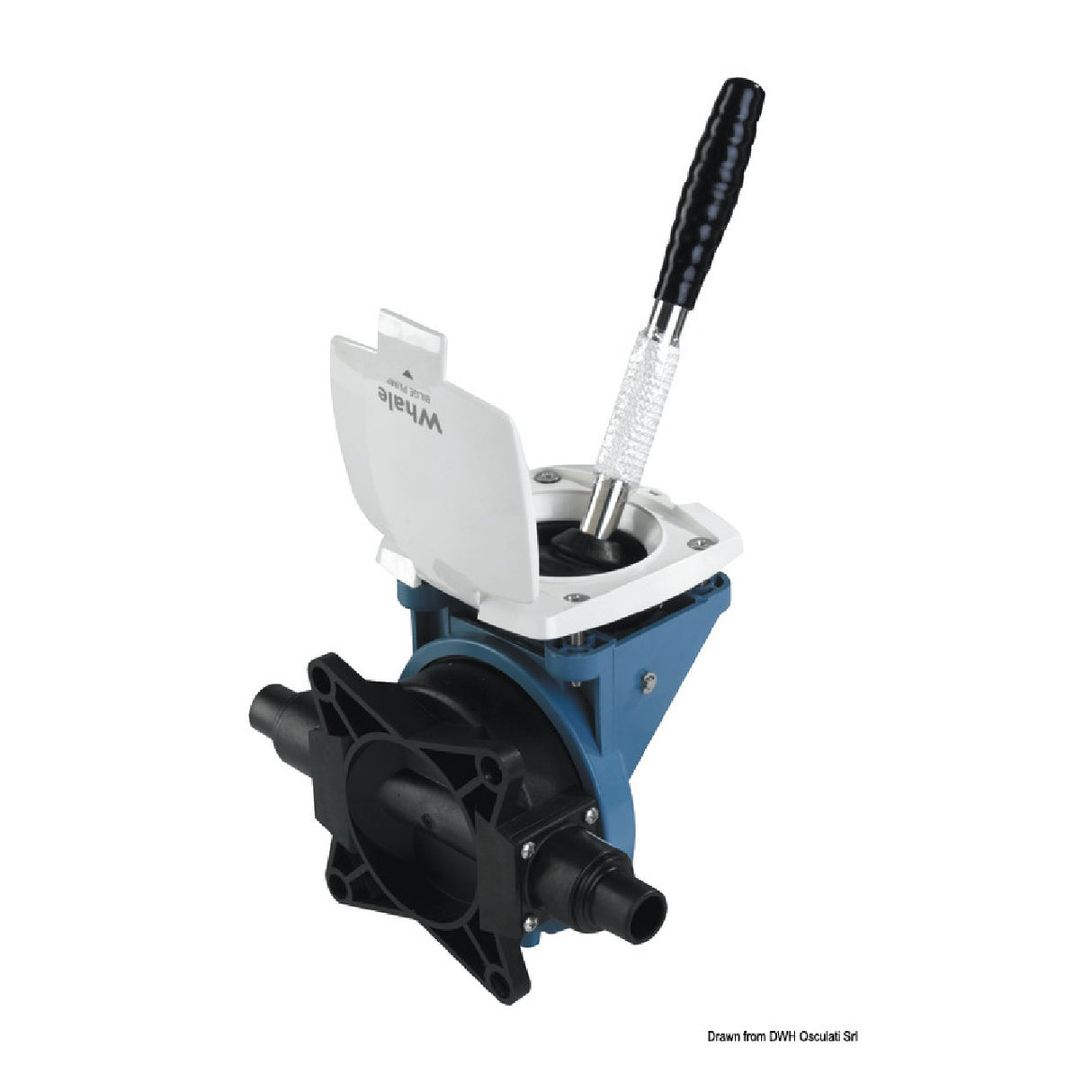 Wal-Pumpen-Gusher-Seeigel