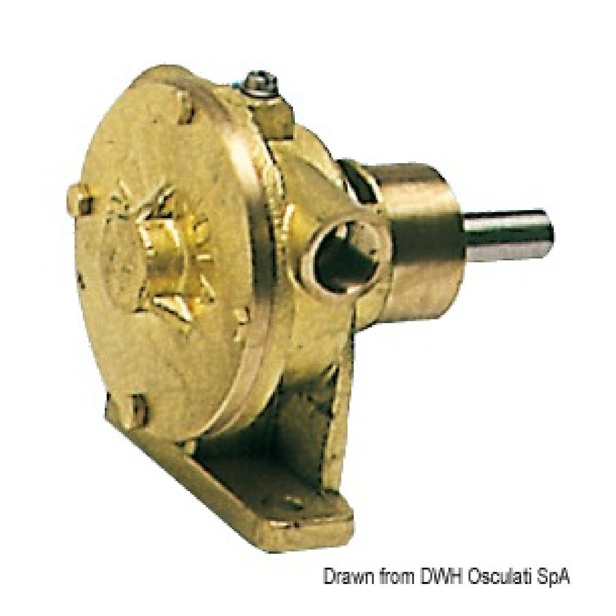 Nauco PM 34 3/4 inch pump