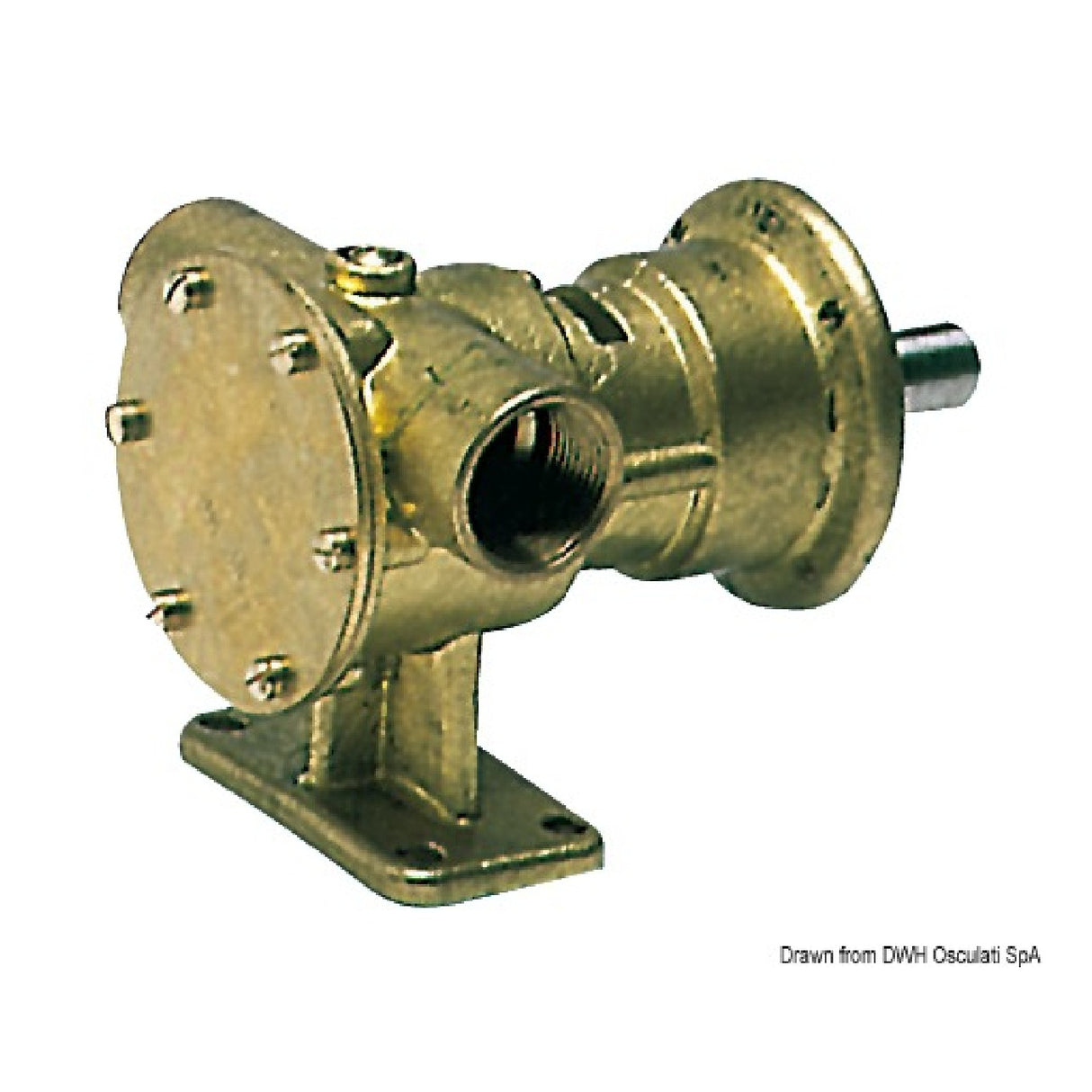 Nauco Pump 36 1 inch