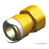 Whale 1/2 Zoll BSP Innengewinde-Adapter (Messing)