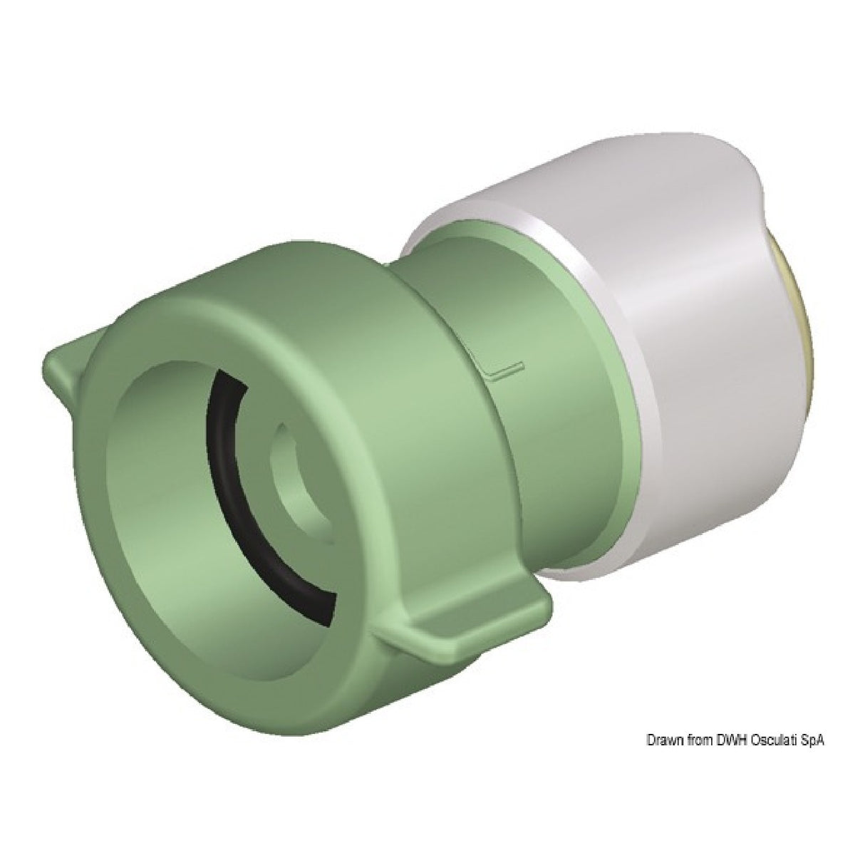 Whale 3/4 Zoll BSP Innengewindeadapter