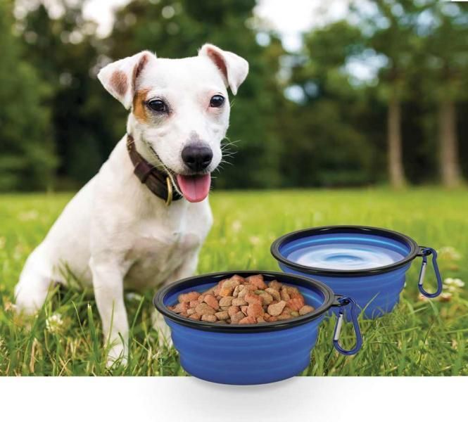 Animals&Car Ciotola pieghevole in silicone