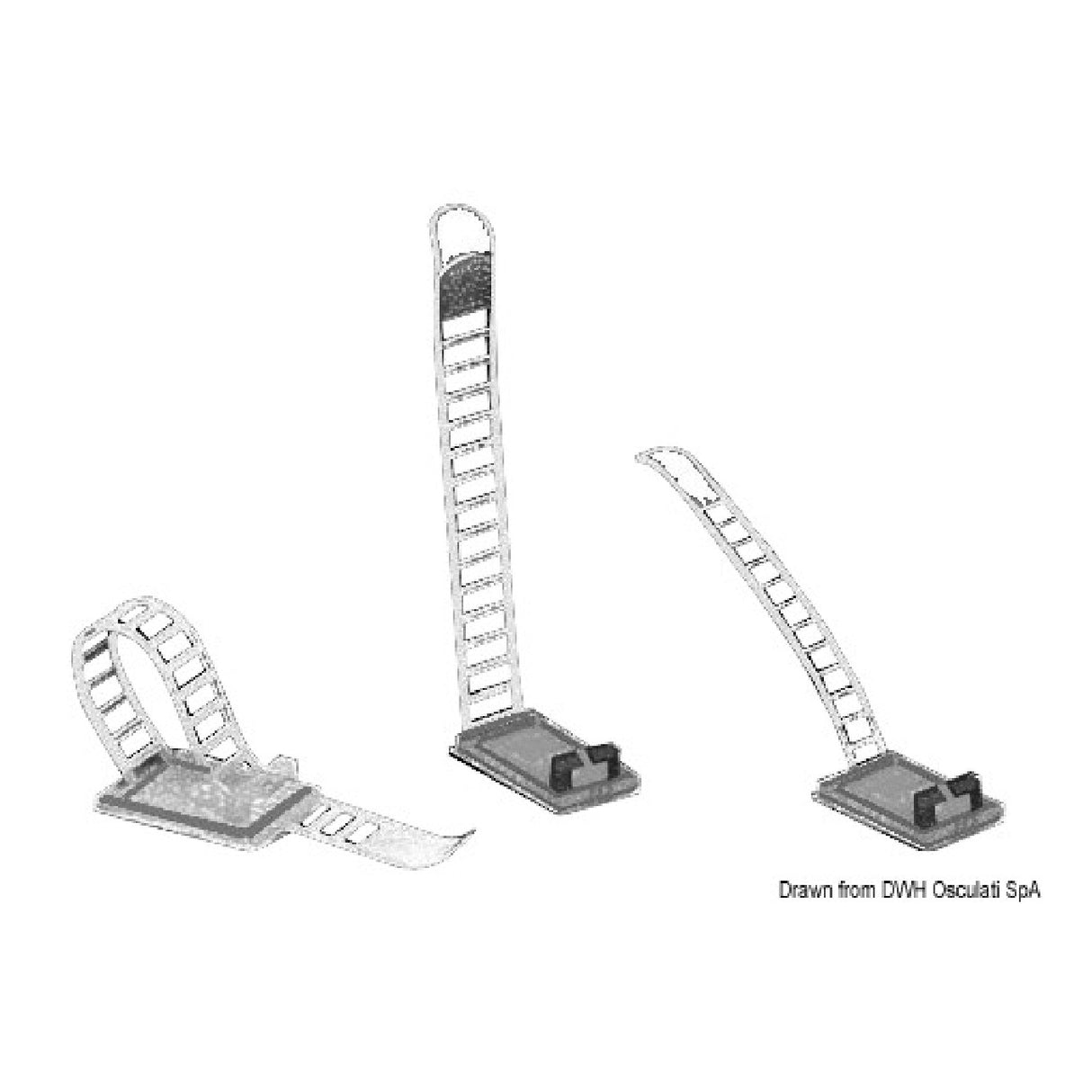 Osculati Verstellbare Schraubkabelklemme 18.035.01